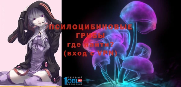 мдма Дмитриев
