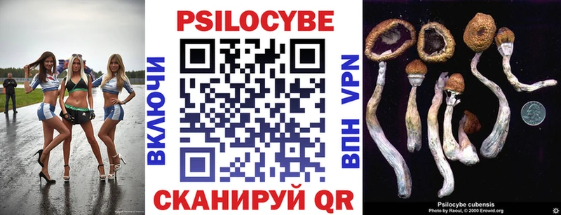 Купить где  Боровичи  Псилоцибиновые грибы Cubensis 